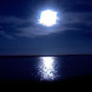 Meet your Posher, Shayna